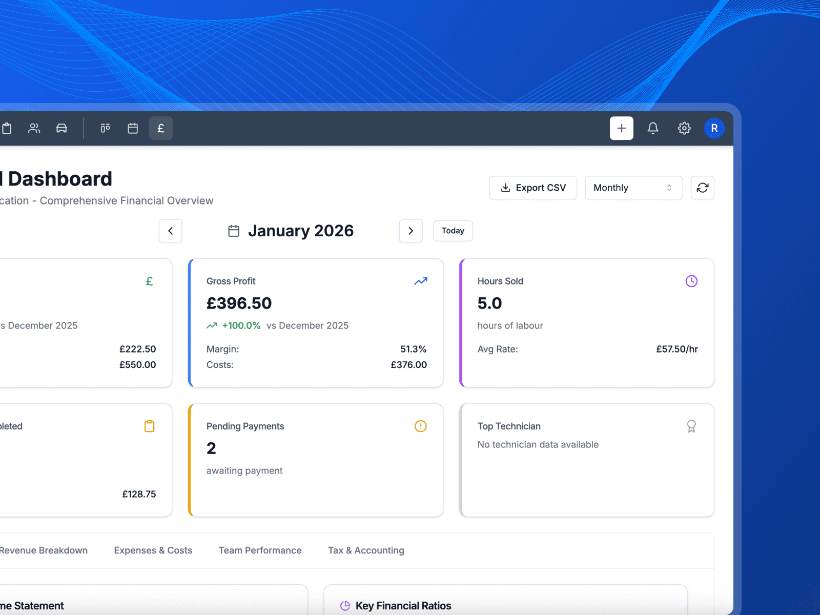 Financial dashboard interface